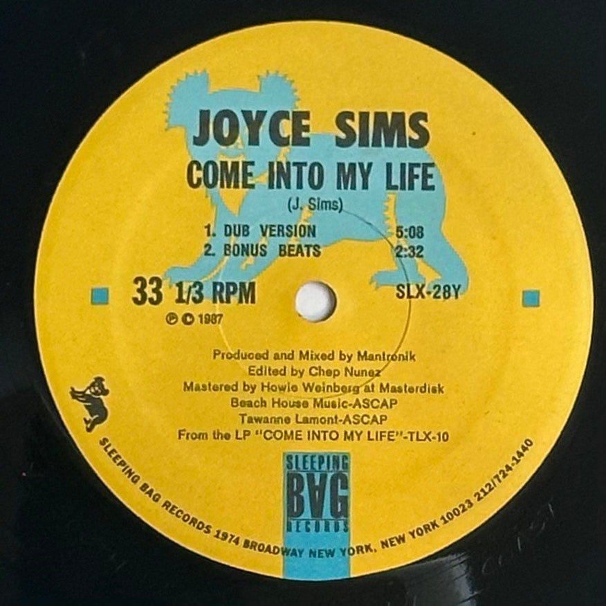 Joyce Sims - Come Into My Life VG+