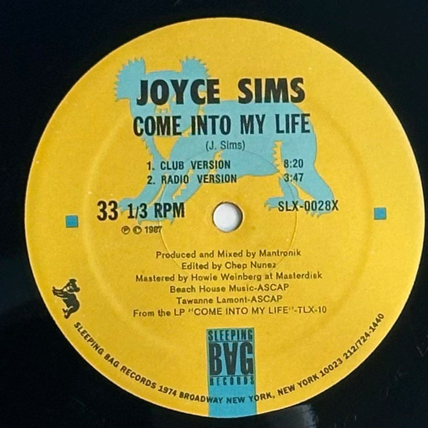 Joyce Sims - Come Into My Life VG+